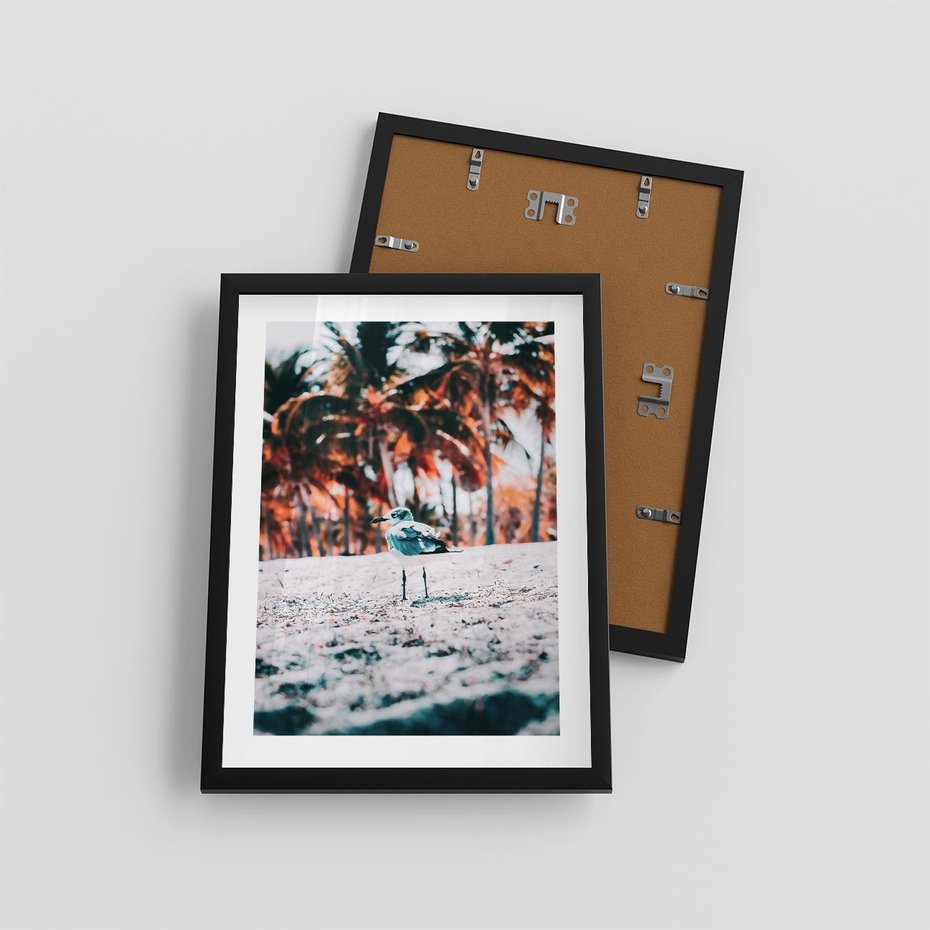 Plakat w ramie 30x40 - Tropikalna Uroda: Plaża z Mewą - tropikalna plaża, mewa na piasku - rama czarna