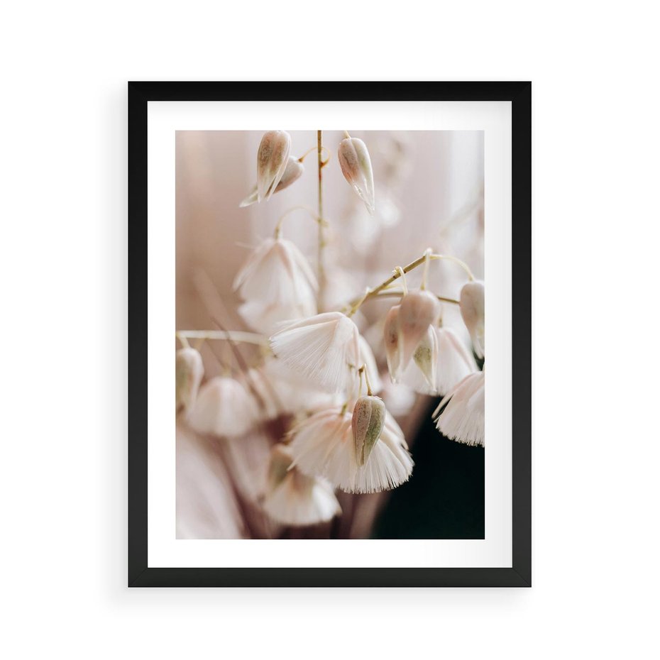Plakat w ramie 40x50 - Suszona Delikatność - suszone kwiaty, rośliny - rama czarna