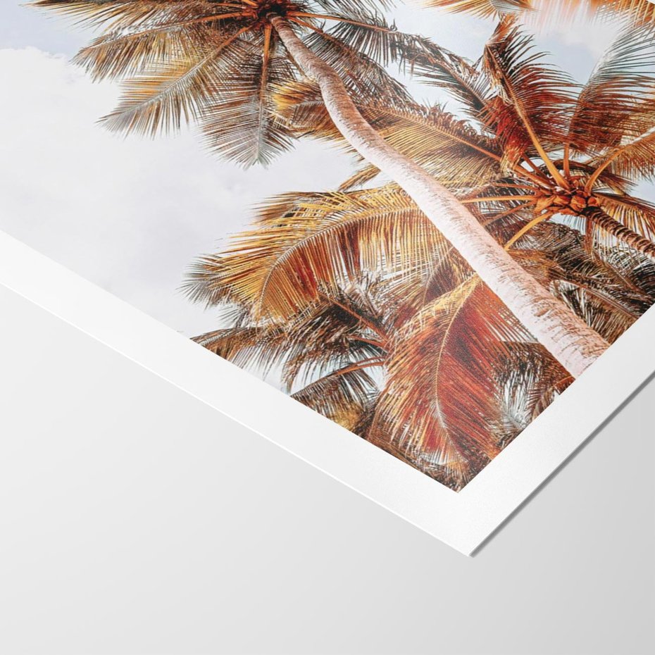 Plakat bez ramy 30x40 - Plażowa Idylla z Palmami - palmy, rajska plaża