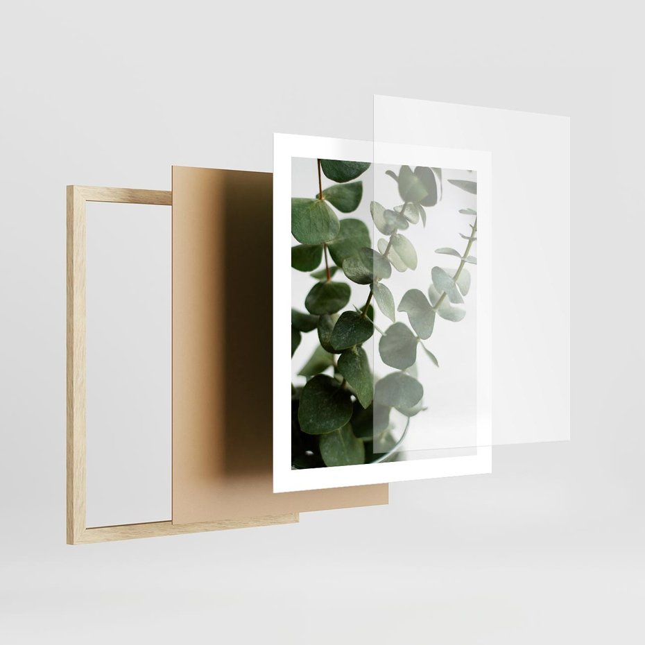 Plakat w ramie 40x50 - Zielone eukaliptusy - eukaliptus, liście - rama drewno