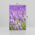 Obraz na płótnie 70x100 - Urok lawendy - lawenda, kwiaty