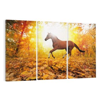 Obraz na płótnie 120x80 - Moc konia w zachodzie słońca - koń, słońce