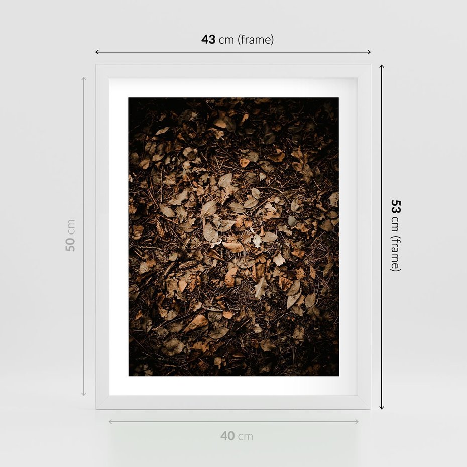 Plakat w ramie 40x50 - Brązowe Liście w Scenerii - suche liście jesień brąz - rama biała