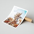 Plakat bez ramy 40x50 - Plażowa Idylla z Palmami - palmy, rajska plaża