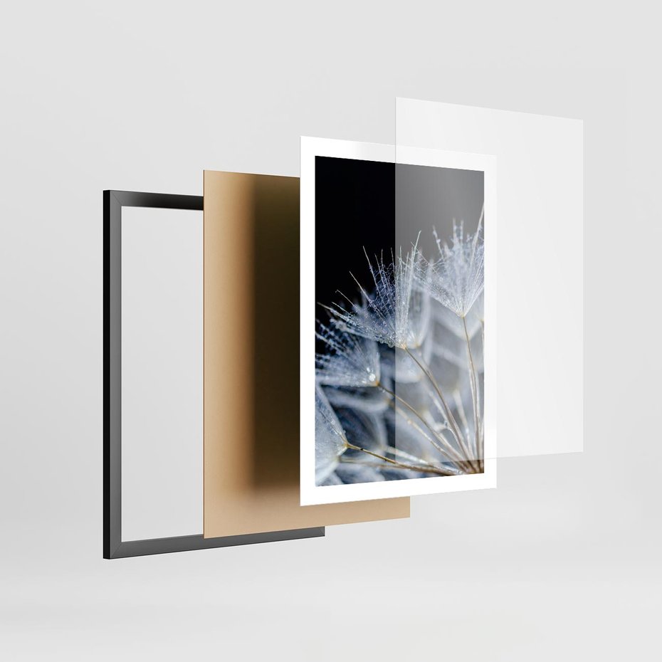 Plakat w ramie 50x70 - Makro piękno dmuchawców - makro, dmuchawce - rama czarna