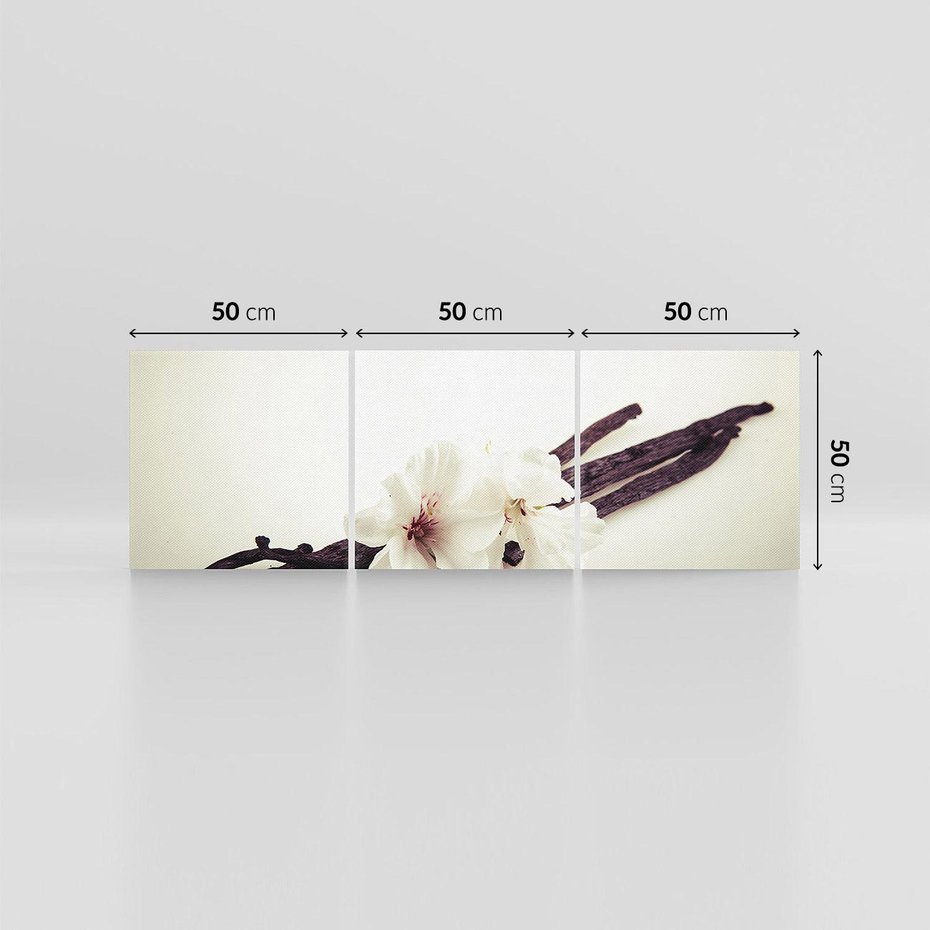 Obraz na płótnie 150x50 - Czuła delikatność wanilii - wanilia, kwiaty