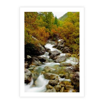 Plakat bez ramy 40x50 - Śpiew Strumienia - strumień, górski