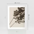 Plakat w ramie 40x50 - Tajemniczy Cień Traw - cień traw, na ścianie - rama biała