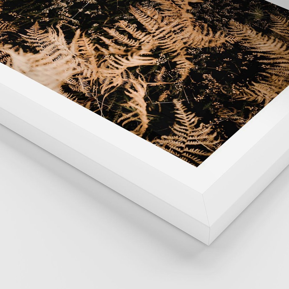 Plakat w ramie 30x40 - Jesienne Paprocie: Kolorowa Paleta Natury - paprocie, jesień - rama biała