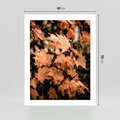 Plakat bez ramy 40x50 - Ciepło Jesieni - jesienne pomarańczowe liśćie, jesień