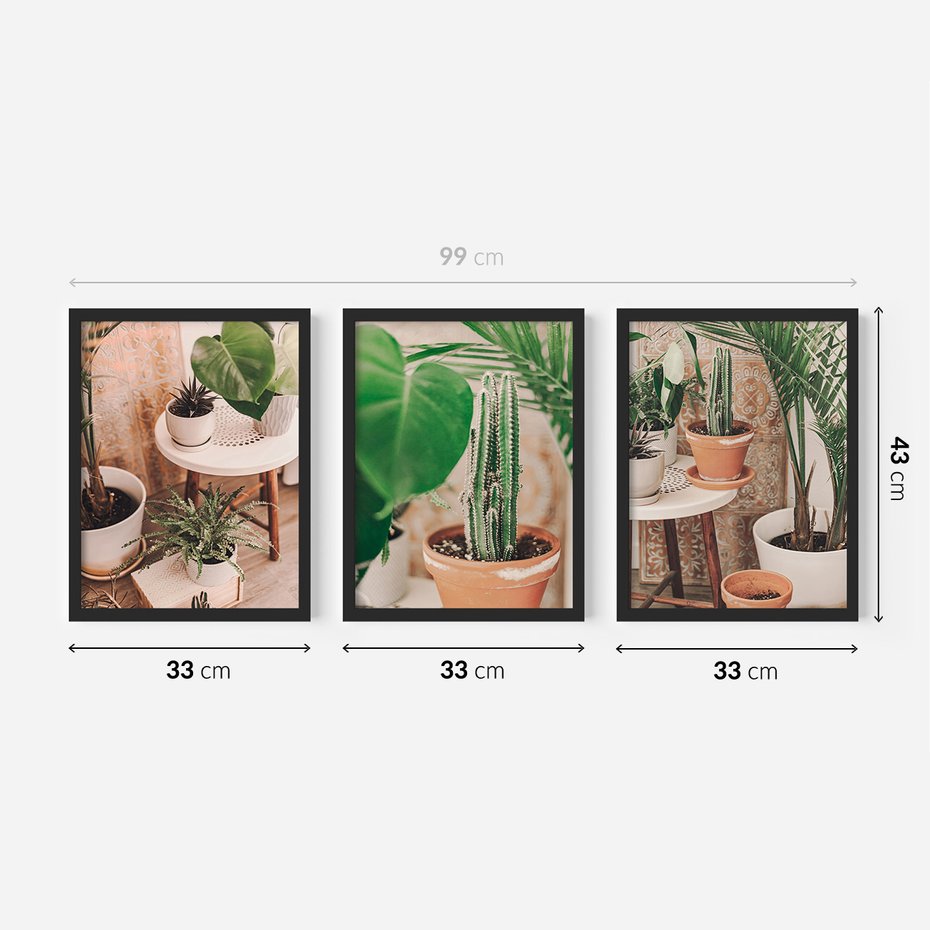 Zestaw obrazy w ramie 30x40 galeria - Kwiaty, kaktusy, w, doniczkach, boho - rama czarna