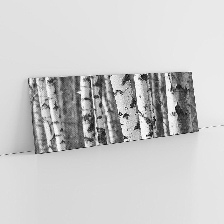Obraz na płótnie 150x50 - Kontrast Monochromatyczny - brzozy, czarno