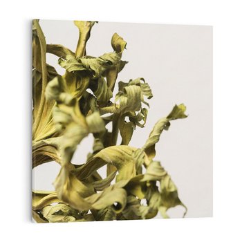 Obraz na płótnie 30x30 - Odejście pory deszczowej - suche, trawy