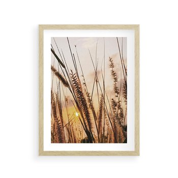 Plakat w ramie 40x50 - Malownicza Łąka z Trawam - trawy, łąka - rama drewno