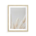Plakat w ramie 30x40 - Biały Spokój - białe trawy, suche trawy pampas - rama drewno