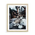 Plakat w ramie 50x70 - W Zimowej Krainie - renifer, zima - rama drewno