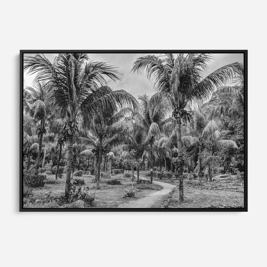 Obraz w ramie 70x50 - Mroczna Ścieżka Tropików - czarno biała fotografia, ścieżka pośród palm - rama czarna