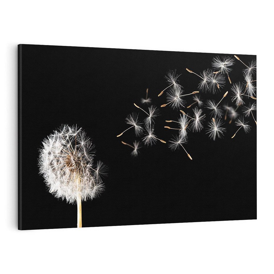 Obraz na płótnie 100x70 - Delikatne płatki dmuchawca - dmuchawiec, kwiaty