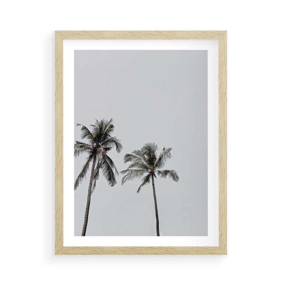 Plakat w ramie 50x70 - Tropikalny Raj: Palmy i Niebo - palmy, niebo - rama drewno