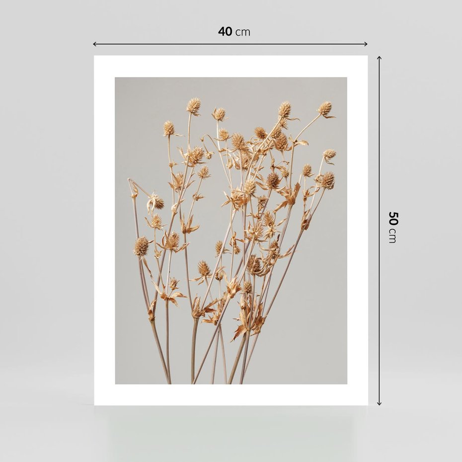 Plakat bez ramy 40x50 - Delikatne gipsówki - gipsówka, suche