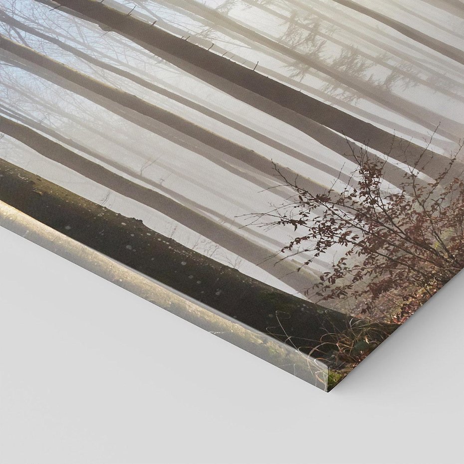 Obraz na płótnie 120x60 - Magiczne zaklęcie: Las pełen drzew - las, drzewa