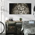 Obraz na płótnie 120x60 - Moc lewego spojrzenia - lew, czarno