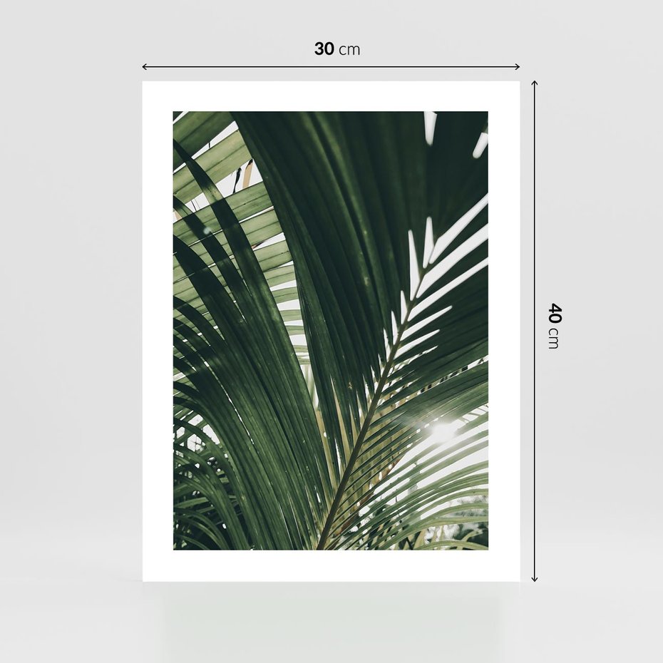 Plakat bez ramy 30x40 - Tropikalne Uroki: Palmy i Zielone Liście - palmy, zielone liście