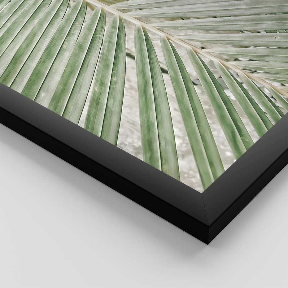 Zestaw obrazy w ramie 30x40 galeria - Liście, palma, tropikalne - rama czarna