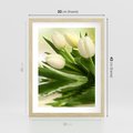 Plakat w ramie 30x40 - Białe Piękno - białe, tulipany - rama drewno