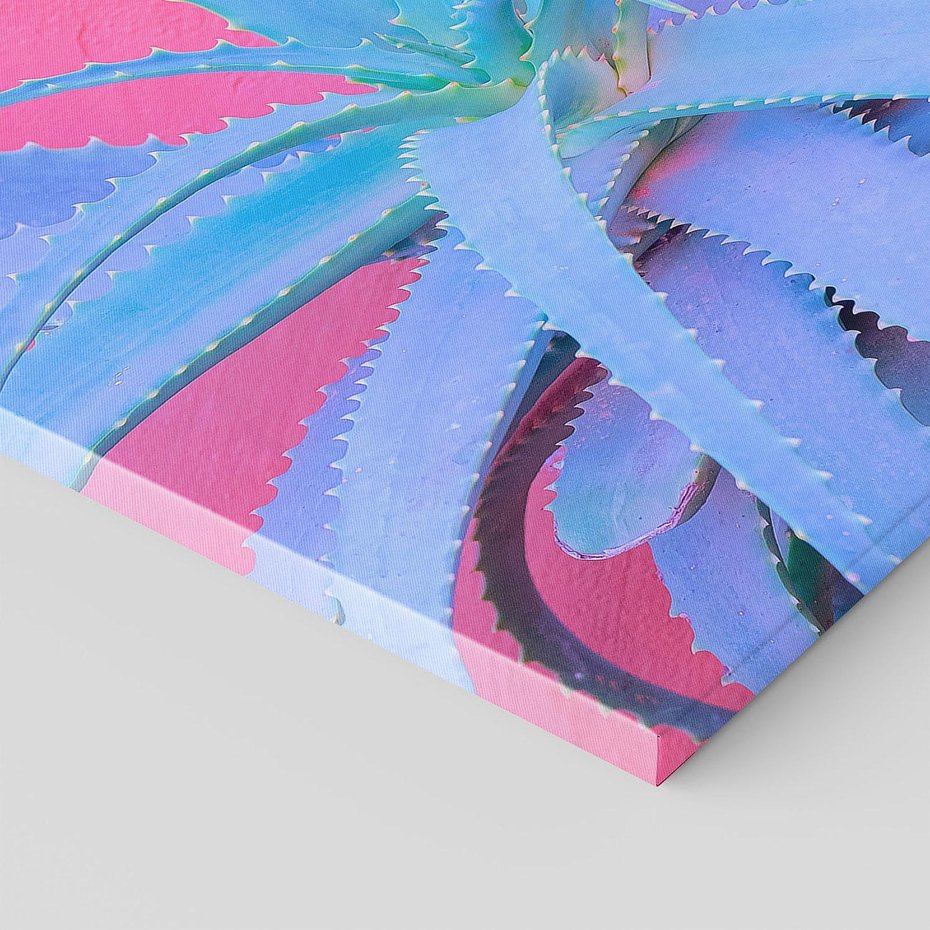 Obraz na płótnie 80x120 - Piękno Pustyni - kaktusy, liście