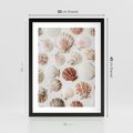 Plakat w ramie 30x40 - Morska Delikatność: Muszelki na Białym Tle - kompozycja, morskie muszelki na białym tle - rama czarna