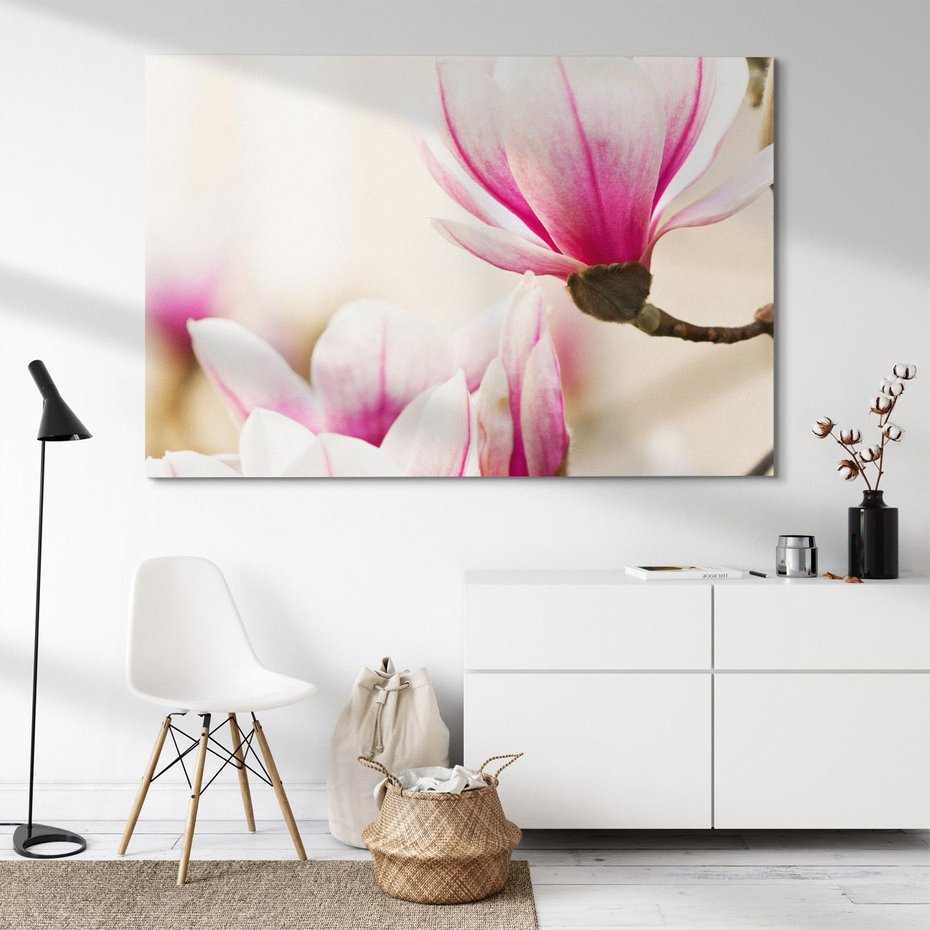 Obraz na płótnie 70x50 - Urok Magnolii - magnolie, kwiaty