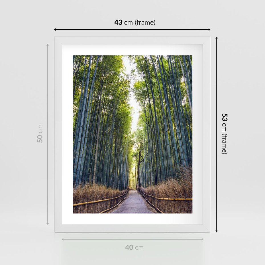 Plakat w ramie 40x50 - Urokliwa dróżka w lesie - las, dróżka - rama biała