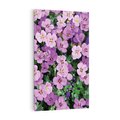 Obraz na płótnie 50x70 - Kwiatowa poezja w pastelowych odcieniach - kwiat, kwiaty