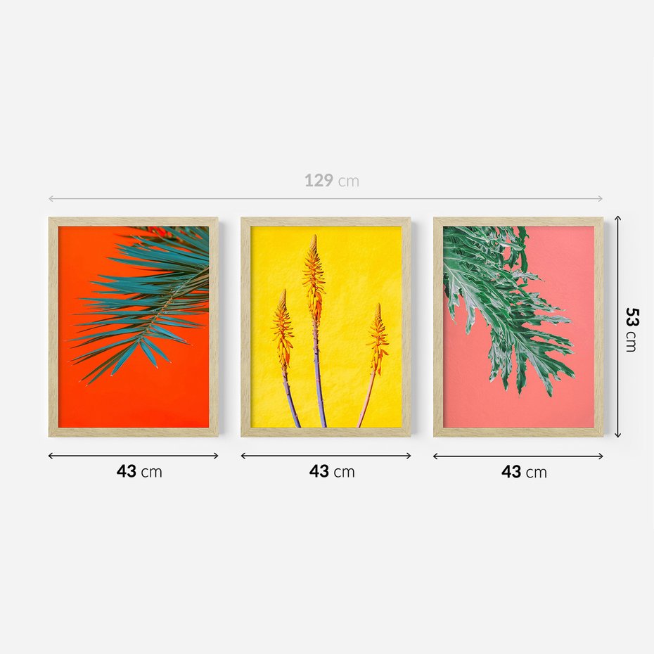 Zestaw obrazy w ramie 40x50 galeria - Rośliny, liście, kolorowe, energetyczne, tło - rama drewno