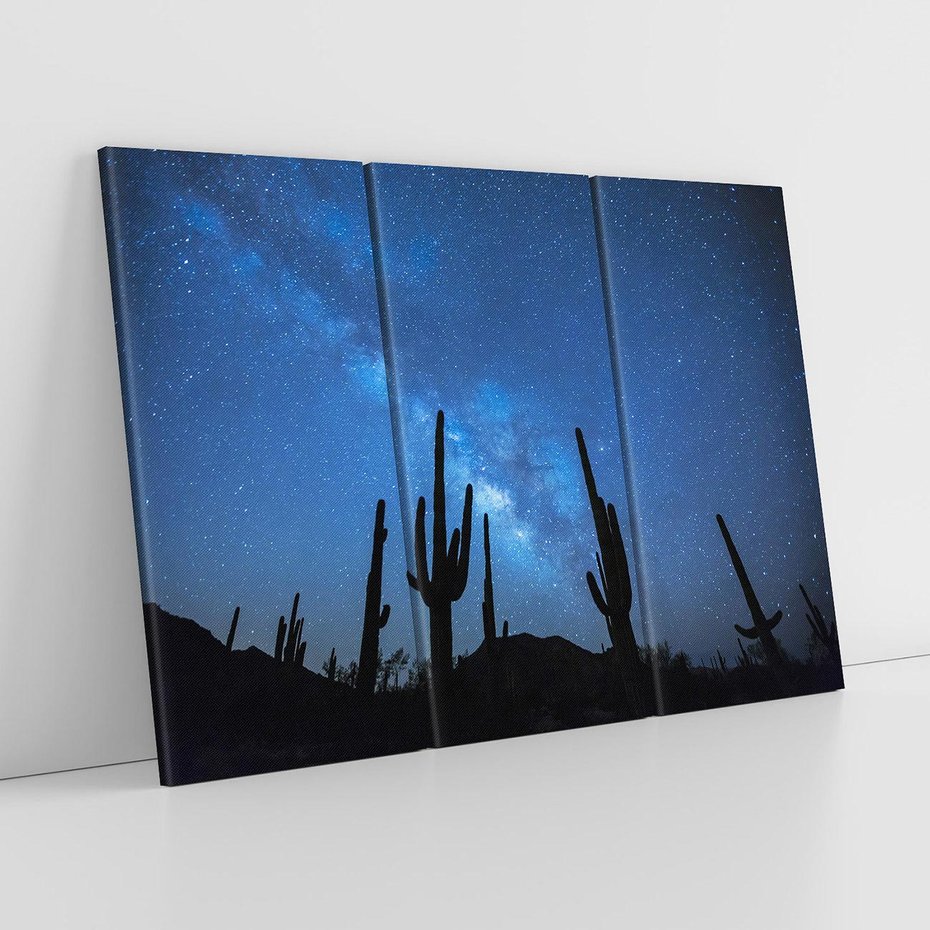 Obraz na płótnie 120x80 - Kaktusy - Niebo z gwiazdami - kaktusy, niebo