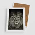 Plakat w ramie 50x70 - Moc lewego spojrzenia - lew, czarno - rama biała