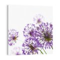 Obraz na płótnie 50x50 - Kwiatowe pejzaże: natura w rozkwicie - kwiaty, natura