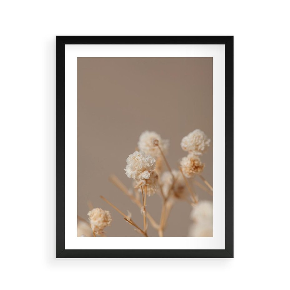 Plakat w ramie 40x50 - Przezroczyste piękno - gipsówka, suche - rama czarna