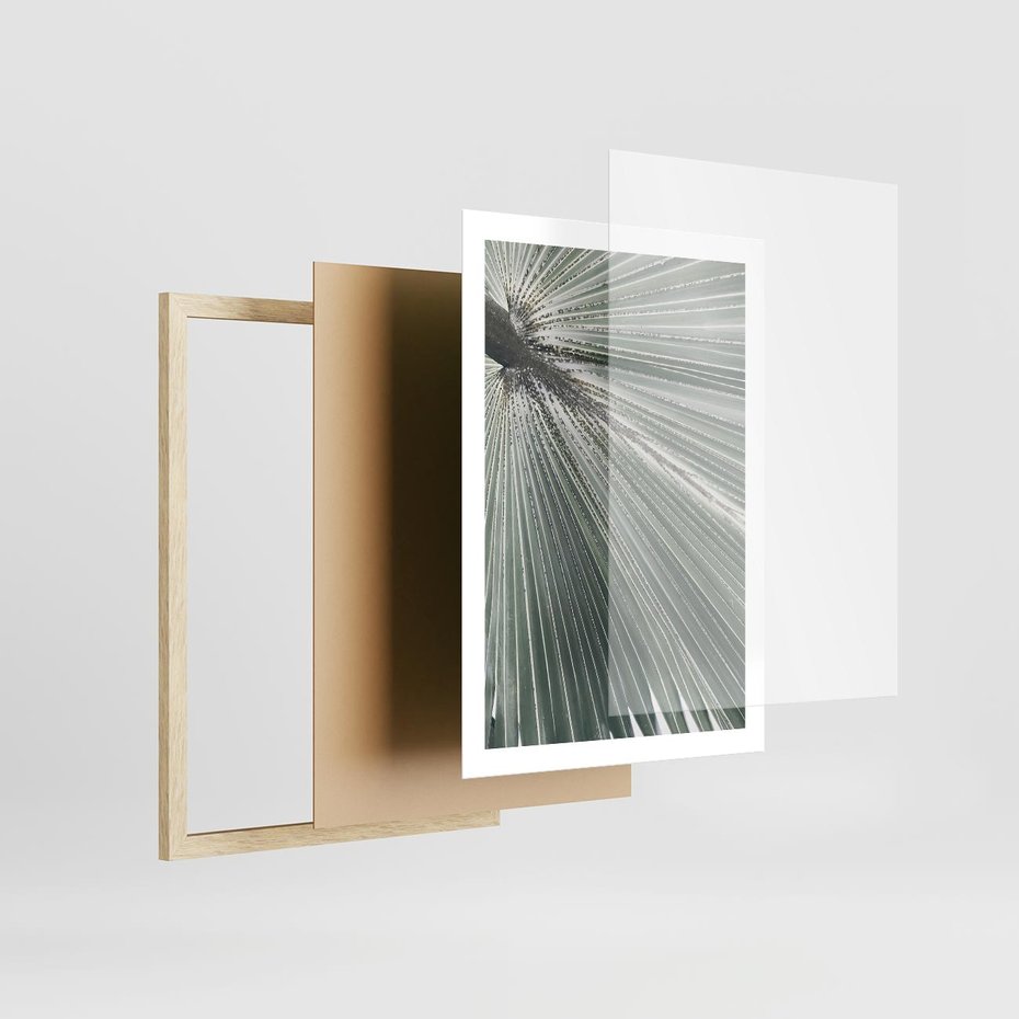 Plakat w ramie 50x70 - Jasnozielony Świat - palma, liść - rama drewno