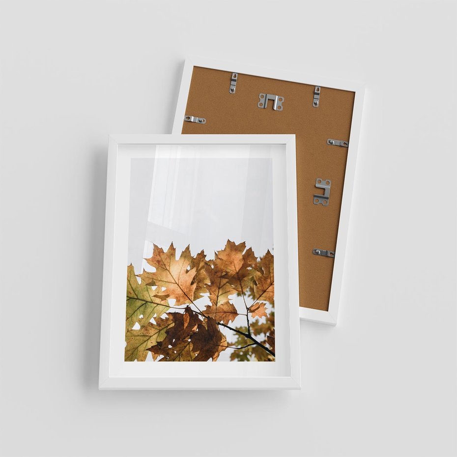 Plakat w ramie 30x40 - Suche Żółte Liście w Malowniczym Ujęciu - liście, żółte - rama biała