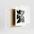 Plakat w ramie 30x40 - Ruchome szkicowe odbicia - czarno biała grafika, roślinność - rama biała