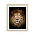 Plakat w ramie 40x50 - Król zwierząt w majestatycznym stylu - lew, król - rama drewno