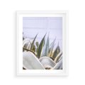 Plakat w ramie 40x50 - Sukulentowe liście - liście, sukulenty - rama biała