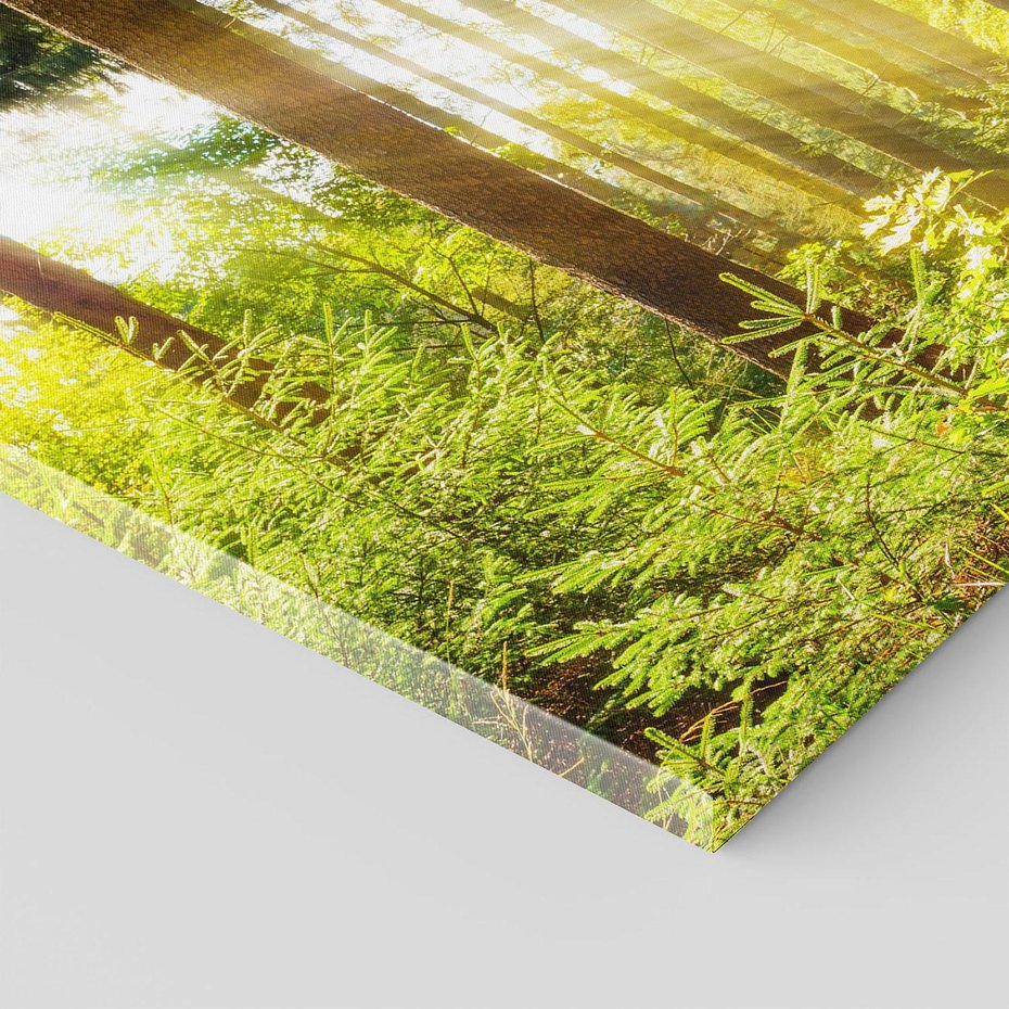 Obraz na płótnie 120x80 - Mistyka lasu - las, drzewa