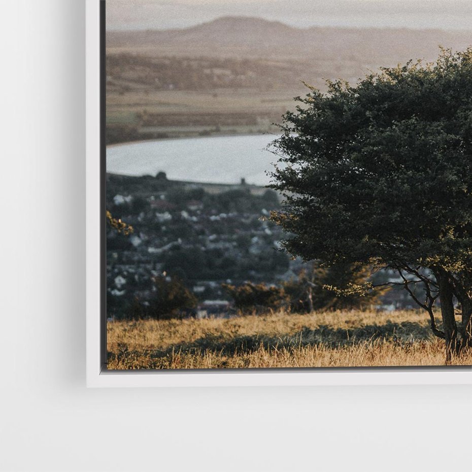 Obraz w ramie 80x80 - Siła Natury - drzewo, pejzaż - rama biała