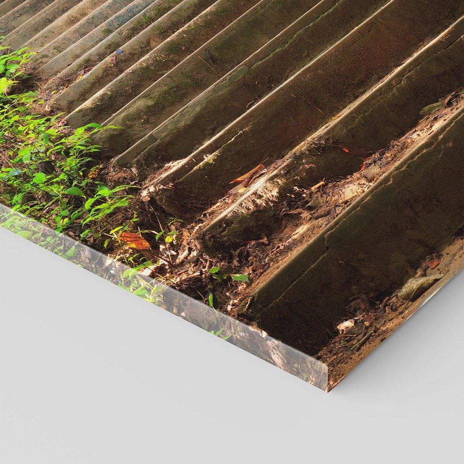 Obraz na płótnie 50x70 - Lasowa ścieżka pełna tajemnic - ścieżka, schody