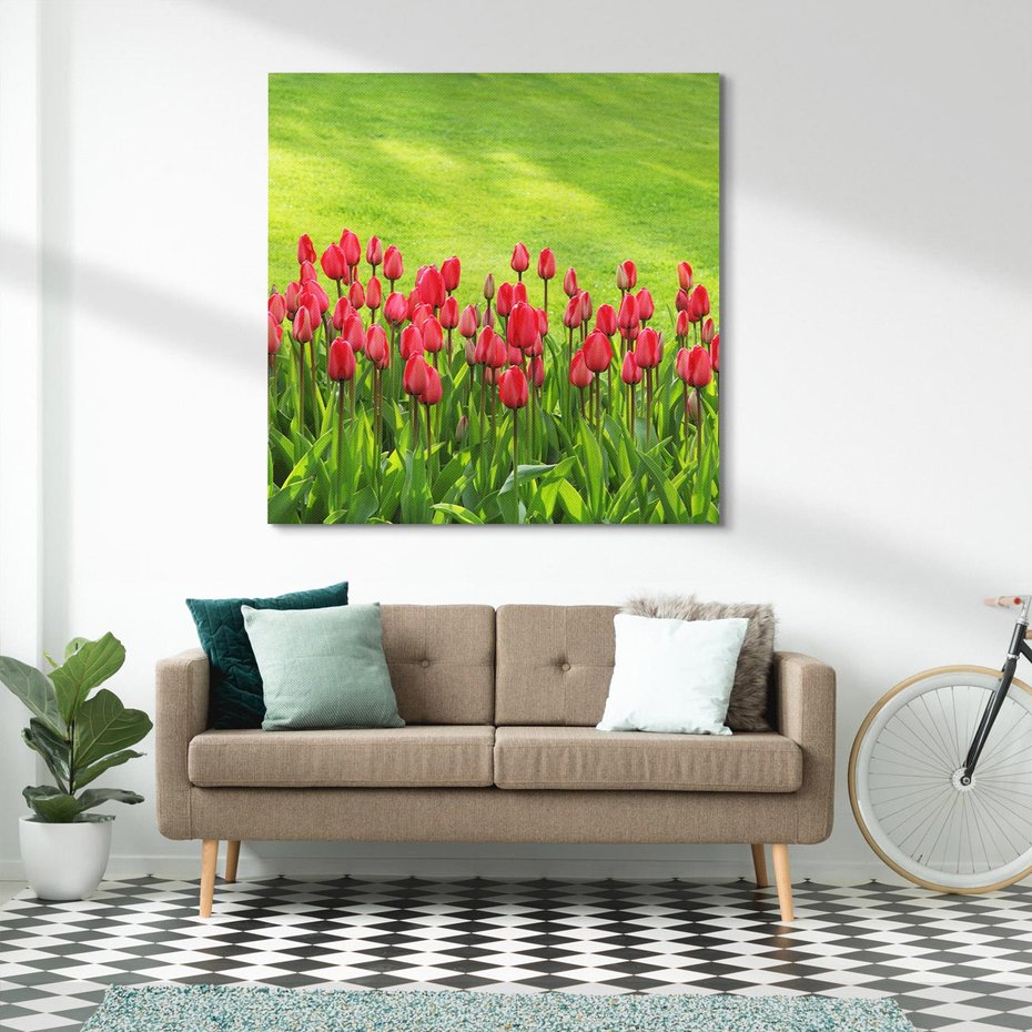 Obraz na płótnie 50x50 - Tulipanowy raj - kwiat, kwiaty