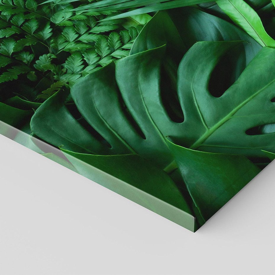 Obraz na płótnie 90x30 - Monstera Liście Fantazja - monstera, liście