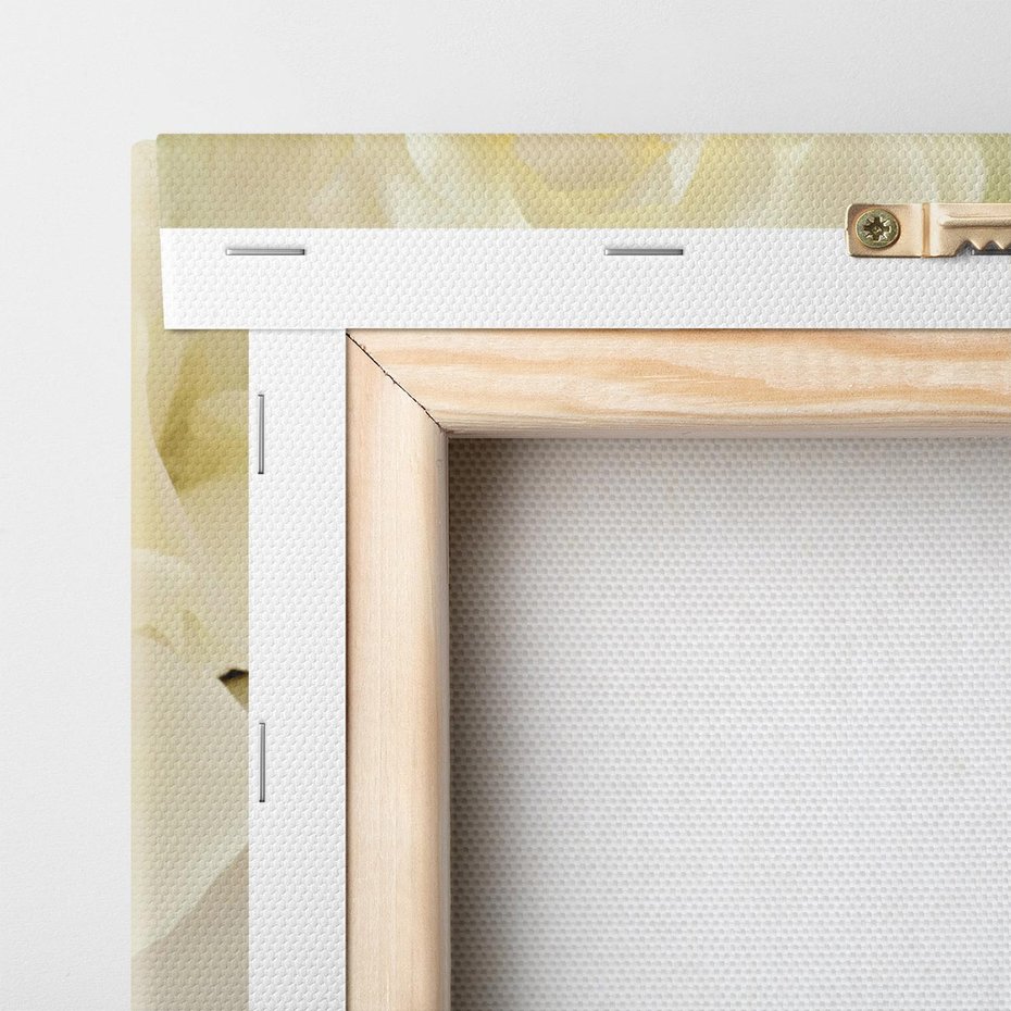 Obraz na płótnie 50x70 - Subtelność białych frezji - frezja, białe